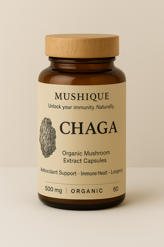 Chaga – Immune Defense & Antioxidants